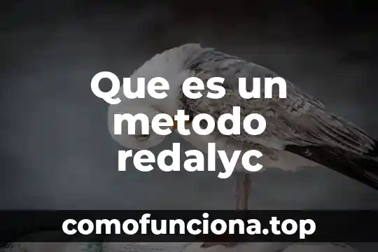 Método de Newton-Raphson que es 6 Que es un metodo redalyc