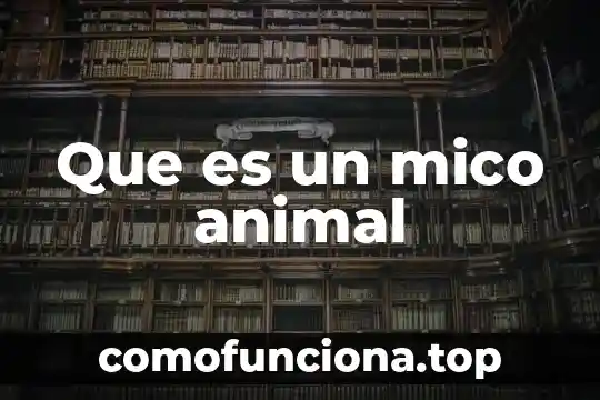 Que es un carnero animal 8 Que es un mico animal
