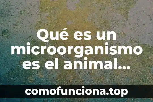 Que es una navaja animal 8 Qué es un microorganismo es el animal vegetal