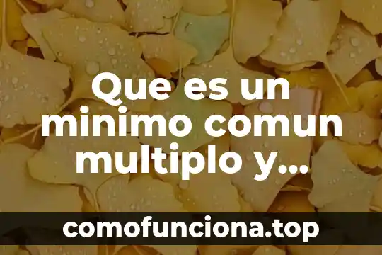 Que es el comun multiplo primaria 3 Que es un minimo comun multiplo y maximo comun divisor