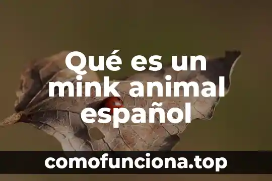 Que es un compuesto español utilizando elementos latinos 4 Qué es un mink animal español
