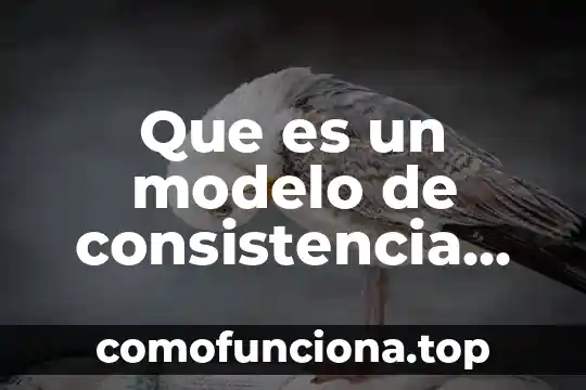 Qué es un modelo que es una teoría 5 Que es un modelo de consistencia pram