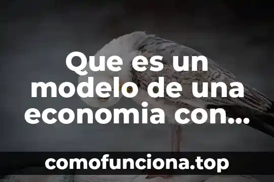 Qué es un modelo que es una teoría 8 Que es un modelo de una economia con dos factores