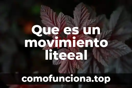 Por que es importante el movimiento del cuerpo 7 Que es un movimiento liteeal