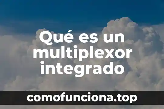 Que es una planta de sombra 3 Qué es un multiplexor integrado