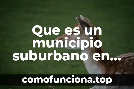 Que es el curp en mexico para extranjeros 6 Que es un municipio suburbano en mexico