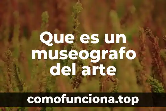 Que es sombra y sus caracteristicas en el arte 7 Que es un museografo del arte