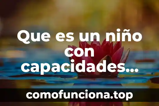 Que es ser tumblr girl 6 Que es un niño con capacidades excepcionales