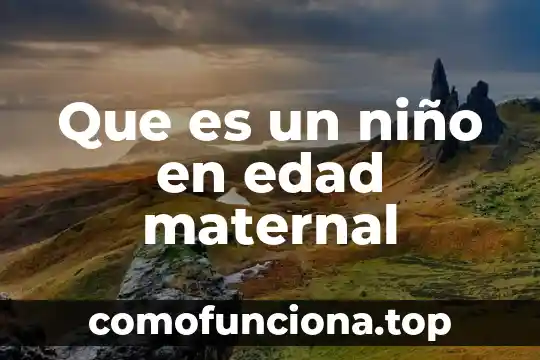 Que es el arte de la edad moderna 3 Que es un niño en edad maternal