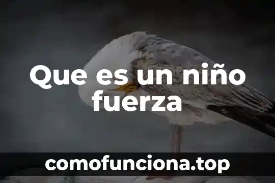 Que es la fuerza gravedad yahoo 7 Que es un niño fuerza