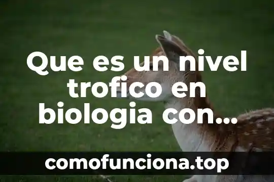 Que es tipificar en biologia 6 Que es un nivel trofico en biologia con ejemplos