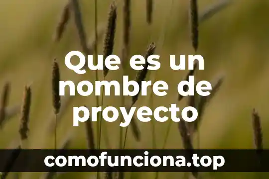 Por que es importante que los elementos quimicos tengan nombre 3 Que es un nombre de proyecto