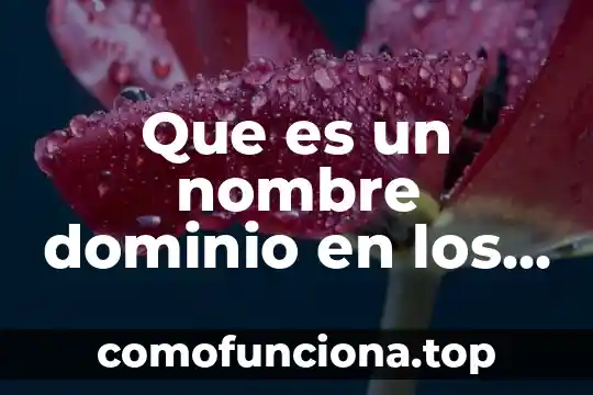 Programas integrales que es 4 Que es un nombre dominio en los programas de computacion