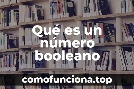 Que es el numero nui 8 Qué es un número booleano