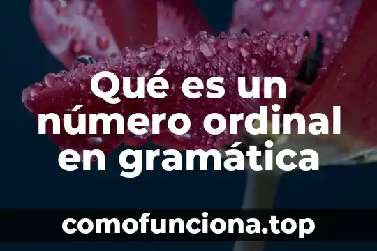 Que es el conjugado de un número complejo 7 Qué es un número ordinal en gramática