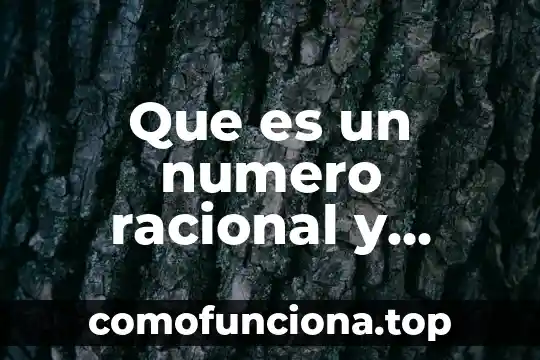 Número de Reservación que es 7 Que es un numero racional y como se representa