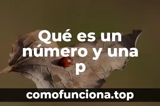 Qué es un análisis de esquema 4 Qué es un número y una p