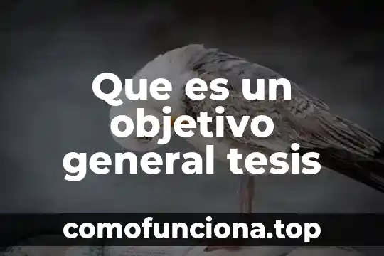 Que es una objetivo bibliografico 3 Que es un objetivo general tesis