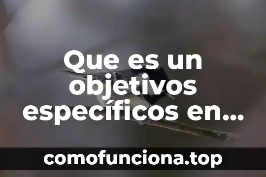 Objetivos feria introduccion para que es 7 Que es un objetivos específicos en una investigacion