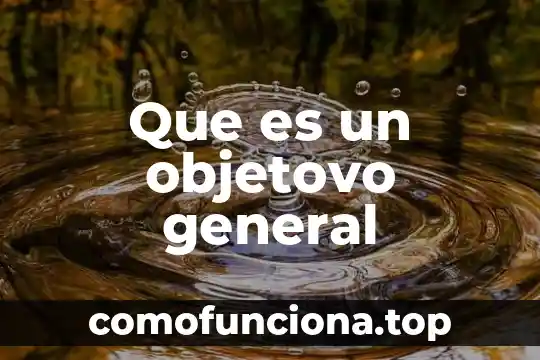 Abstracción expresiva que es 7 Que es un objetovo general