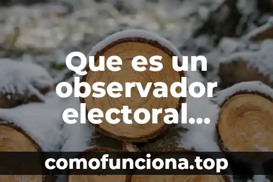 Qué es compaginar significado 3 Que es un observador electoral significado