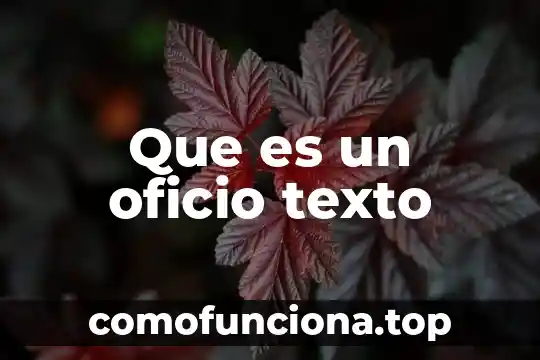 Que es un texto de literariedad 6 Que es un oficio texto