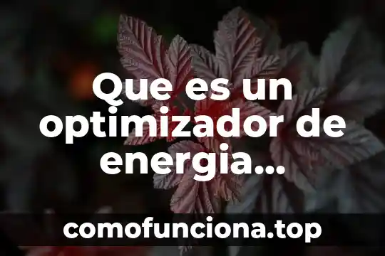 Que es el simbolo de la bandera de mexico 8 Que es un optimizador de energia electrica