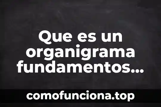 Libros de que es el conocimiento fundamentos de la informacion 3 Que es un organigrama fundamentos de la administración