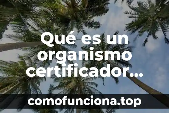 Que es la leyenda de un mapa yahoo 8 Qué es un organismo certificador mapa conceptual
