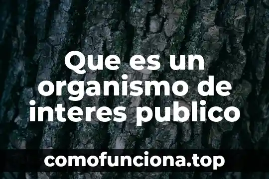 Que es interes e interes compuesto en termino matemático 7 Que es un organismo de interes publico