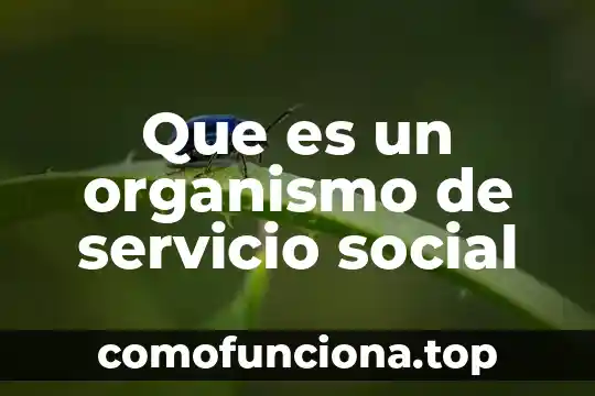 Que es un argumento y para quenos sirve 5 Que es un organismo de servicio social