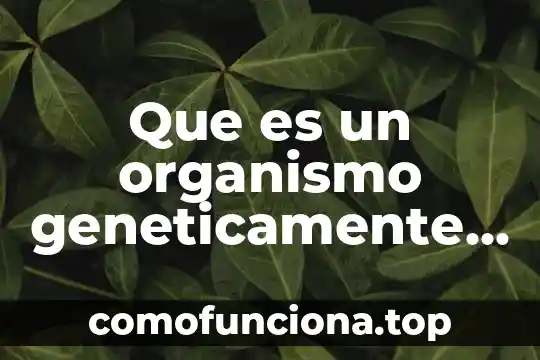 Qué es lo que produce el movimiento 7 Que es un organismo geneticamente modificado y como se produce