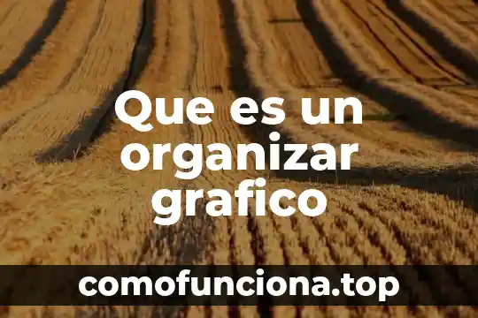 Que es una tabla para organizar informacion 4 Que es un organizar grafico