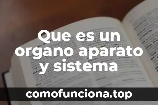 Qué es el órgano definición 7 Que es un organo aparato y sistema