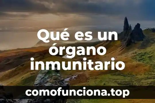 Qué es banza comercial 3 Qué es un órgano inmunitario
