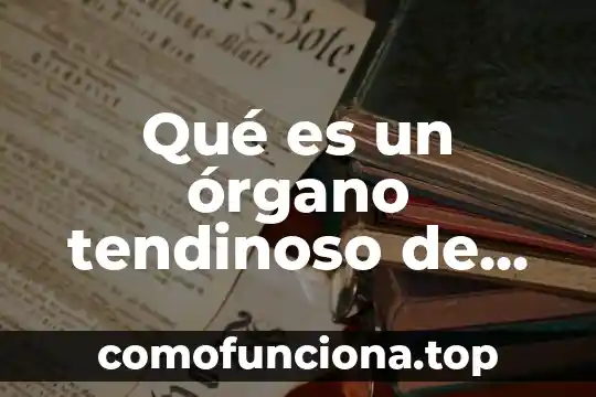 Qué es el órgano definición 6 Qué es un órgano tendinoso de Golgi