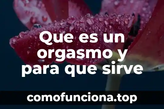 Que es el signo de admiracion y para que sirve 6 Que es un orgasmo y para que sirve