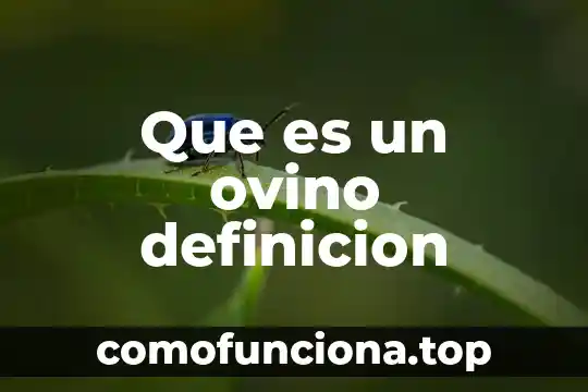 Qué es un método de estudio definición 7 Que es un ovino definicion
