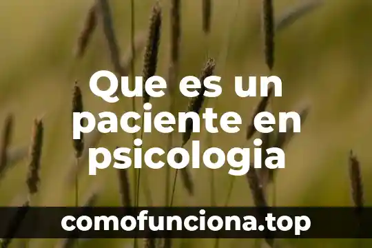 Qué es el comunismo en filosofía 6 Que es un paciente en psicologia