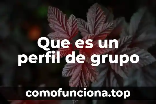 Que es el grupo g2 cubano 4 Que es un perfil de grupo