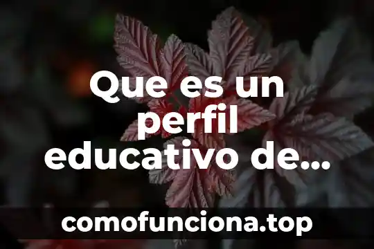 Que es un perfil web 4 Que es un perfil educativo de egreso y de ingreso