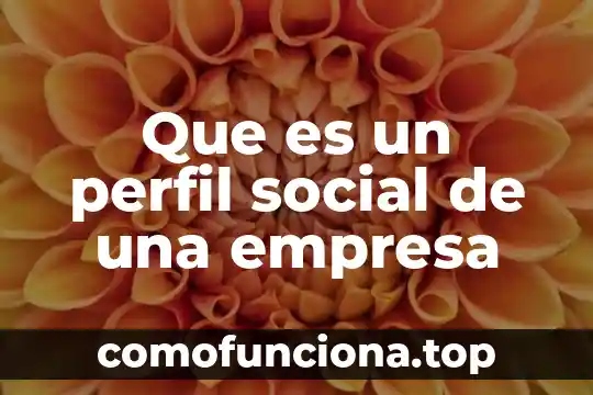 Que es un perfil web 7 Que es un perfil social de una empresa