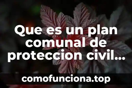 Que es un instructivo de emergencia significado 6 Que es un plan comunal de proteccion civil y emergencia