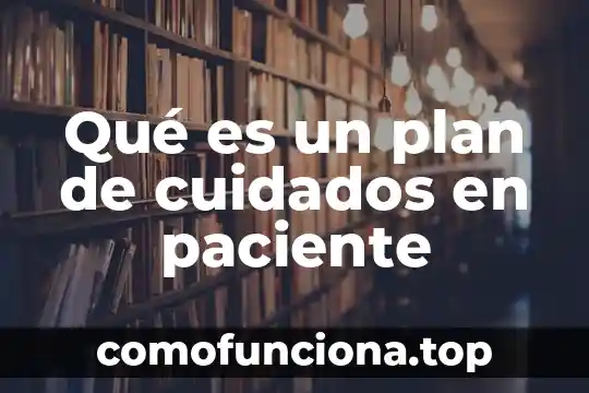 Cuidados de planta que es un palo 3 Qué es un plan de cuidados en paciente