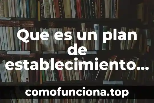 Que es concepto de una empresa 8 Que es un plan de establecimiento en una empresa