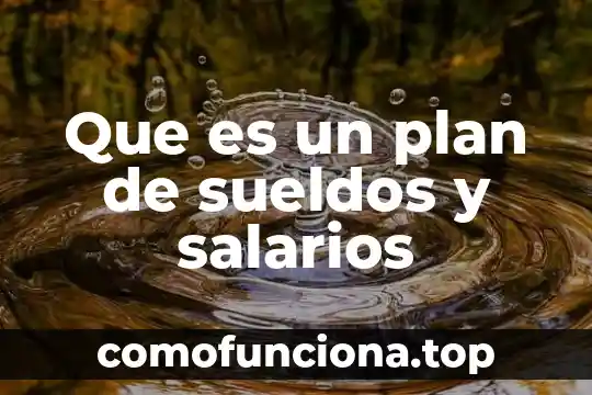 Pagos de salarios que es 5 Que es un plan de sueldos y salarios