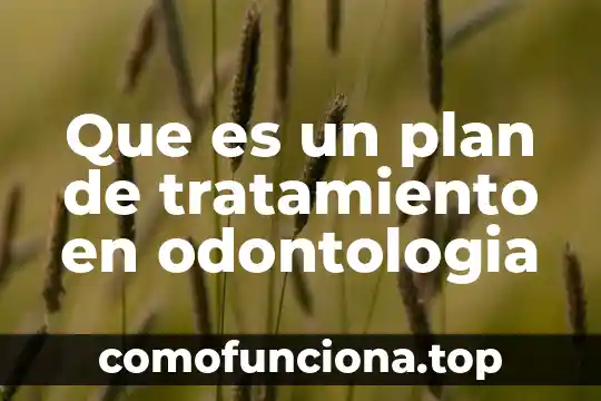 Que es un homogeneizador planta tratamiento 4 Que es un plan de tratamiento en odontologia
