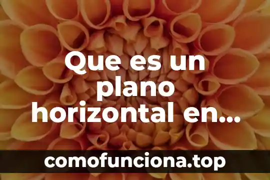 Que es horizontal en la arquitectura 4 Que es un plano horizontal en artes