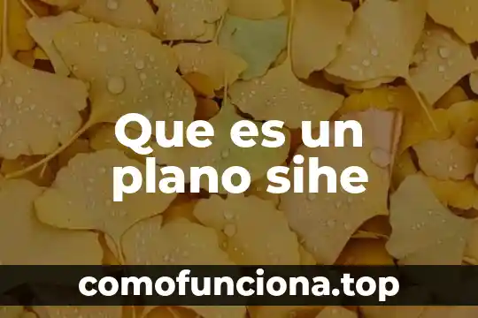 Que es el naturalismo etica y valores 8 Que es un plano sihe