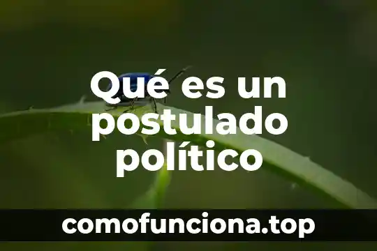 Qué es el pensamiento político de Rousseau 6 Qué es un postulado político